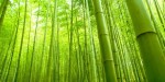 Cara Membuat Kerajinan Bambu yang Mudah dan Bermanfaat
