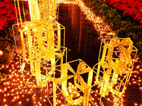 Kotak Lampu