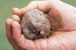 Kerajinan Bahan Lunak Janjikan Peluang Usaha yang Menggiurkan
