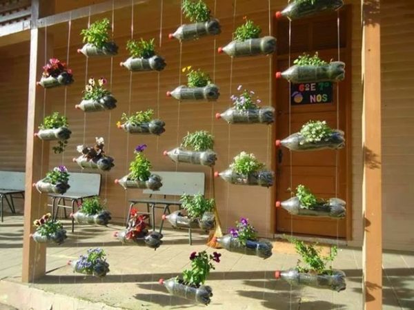 Pot tanaman gantung dari botol bekas