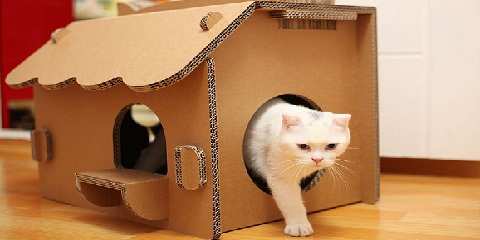 Rumah Kucing - i.pinimg.com