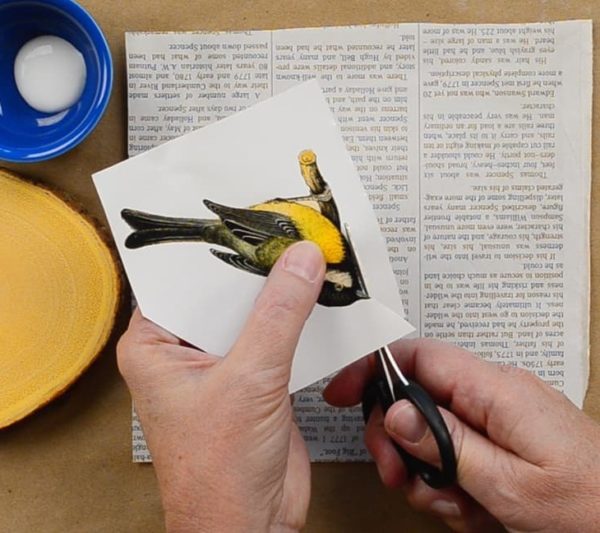 Tutorial Membuat Souvenir Gambar Burung di Kayu-DIY