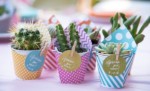 Ini Dia 5 Barang yang Sering Dijadikan Souvenir Ulang Tahun